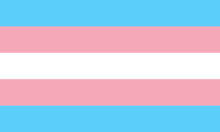 Cool Trans Flag